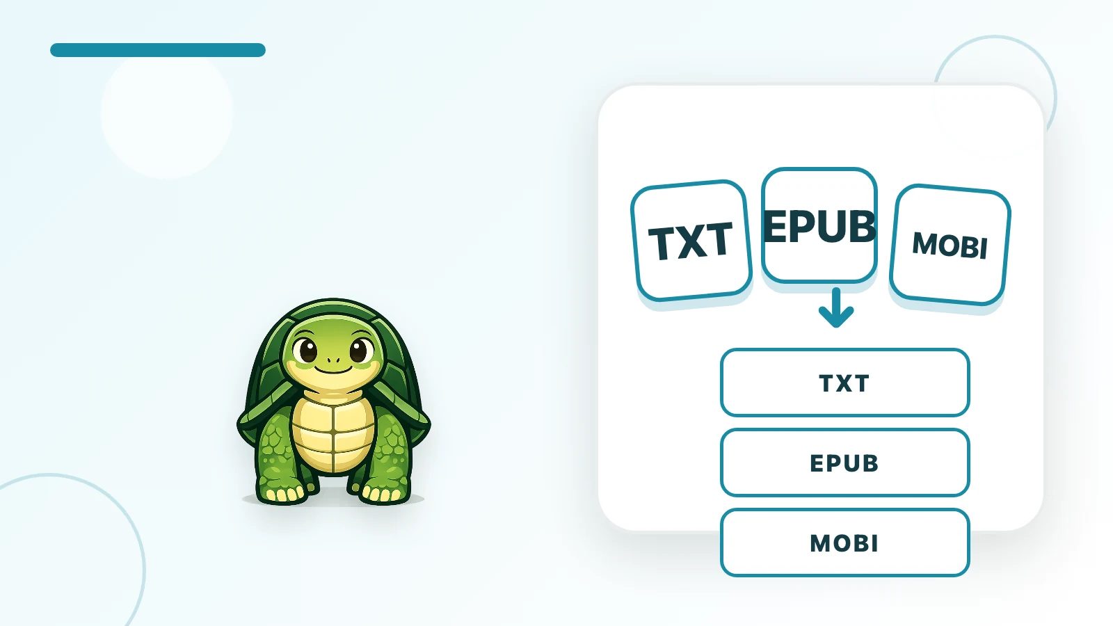 TortoLingua turtle mascot checking TXT EPUB and MOBI file cards before a private book import